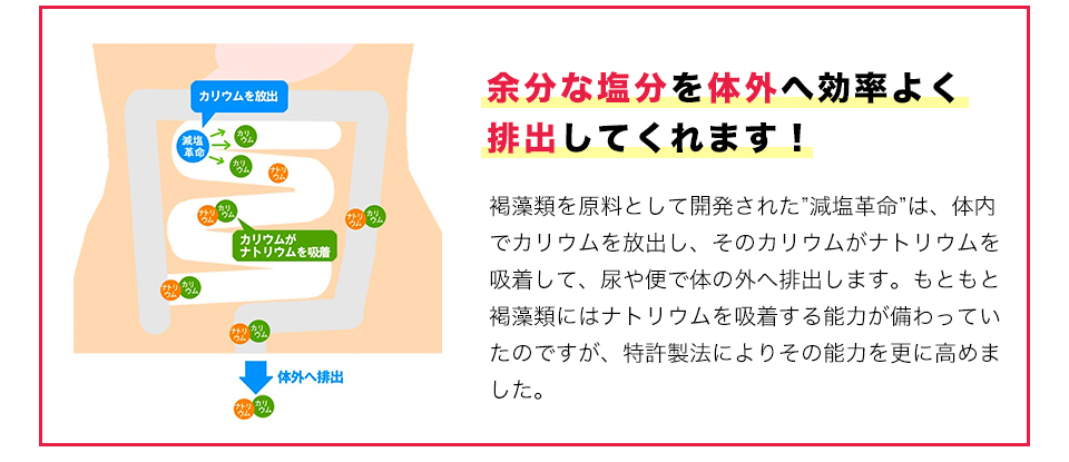 余分な塩分を体外へ効率よく排出してくれます！褐藻類を原料として開発された”減塩革命”は、体内でカリウムを放出し、そのカリウムがナトリウムを吸着して、尿や便で体の外へ排出します。もともと褐藻類にはナトリウムを吸着する能力が備わっていたのですが、特許製法によりその能力を更に高めました。